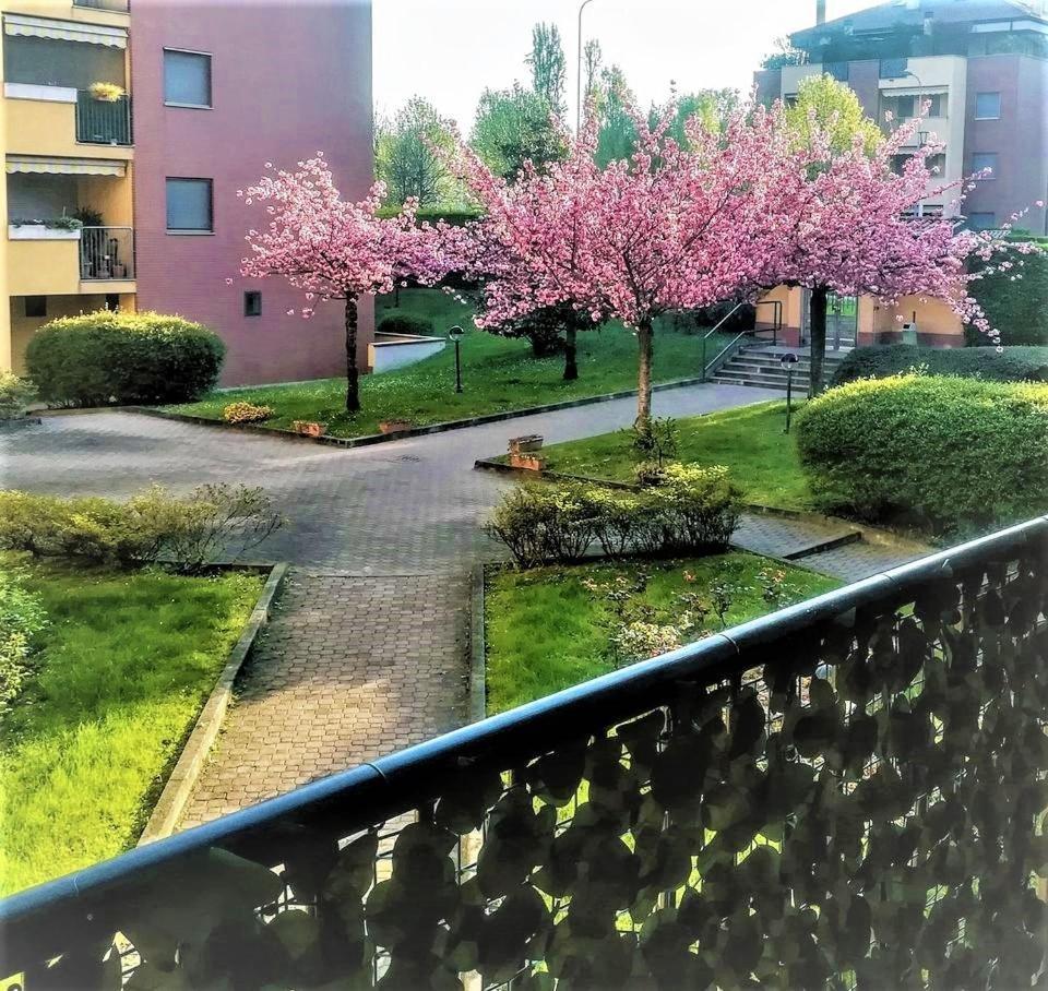 Curiel Apartment *