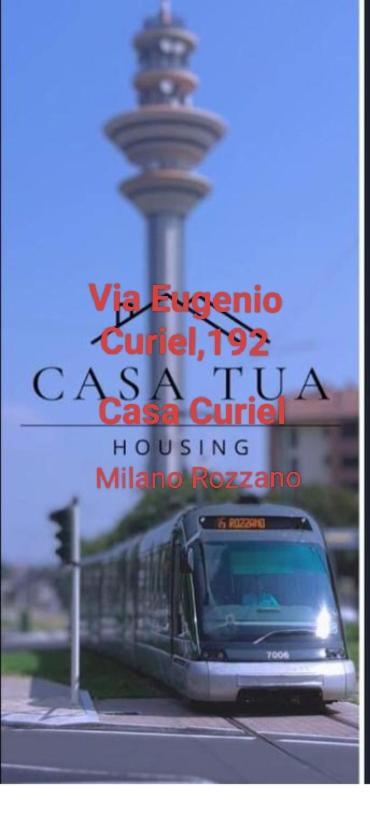 Apartment Curiel