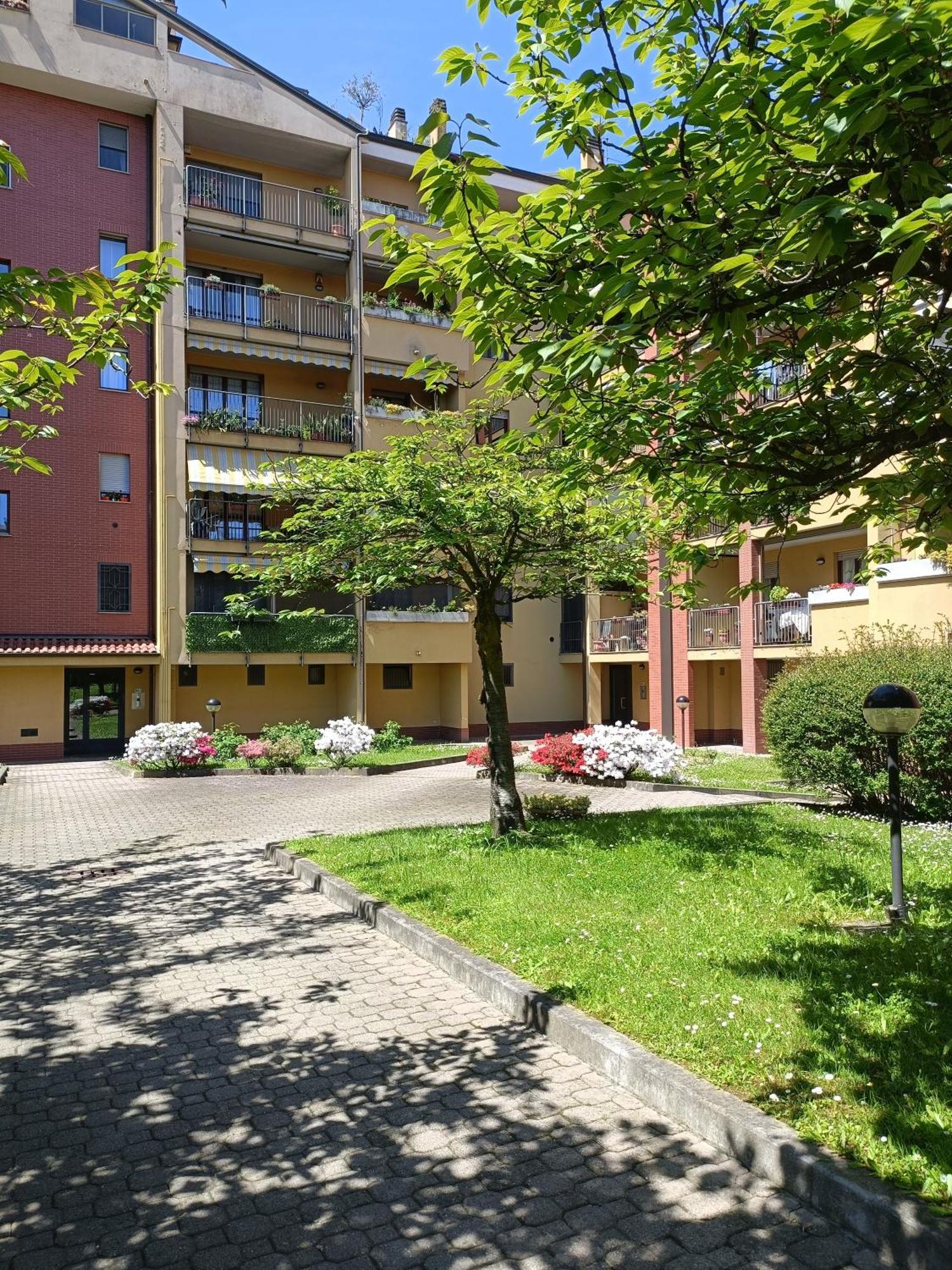 Apartment Curiel *
